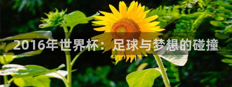世俱杯直播:2016年世界杯:足球与梦想的碰撞