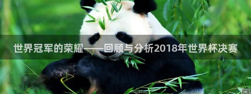 世界杯官网入口:世界冠军的荣耀——回顾与分析2018年世界杯决赛