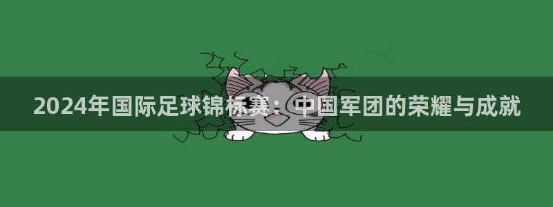 世界杯预选赛直播:2024年国际足球锦标赛:中国军团的荣耀与成就