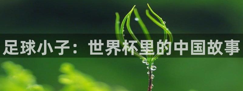 世界杯 直播:足球小子:世界杯里的中国故事