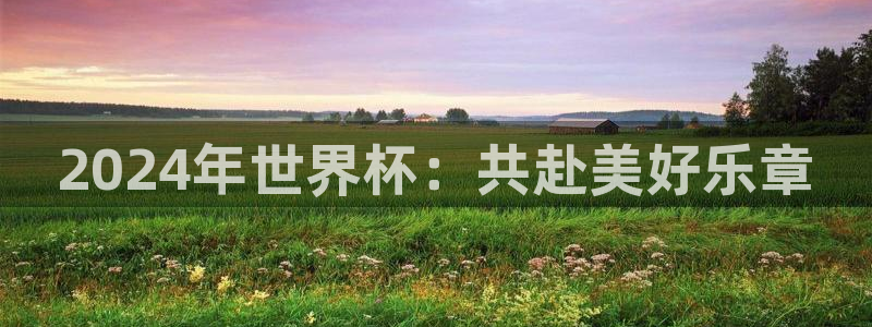 世界杯转播表:2024年世界杯:共赴美好乐章