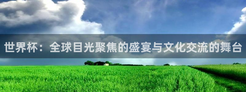 世俱杯直播:世界杯:全球目光聚焦的盛宴与文化交流的舞台