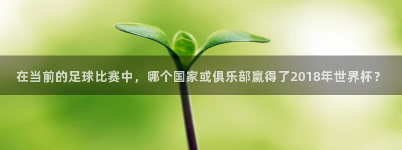 2026世界杯足球赛程时间表:在当前的足球比赛中,哪个国家或俱乐部赢得了2018年世界杯?